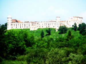zamek w Janowcu